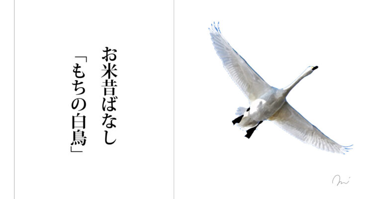 お米昔ばなし「もちの白鳥」